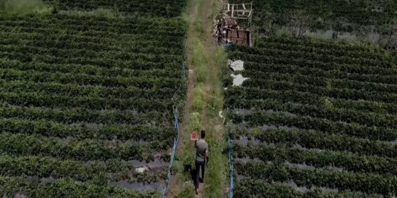 350 milyon lirayı duyan Batman'a akın etti