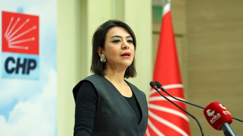 Gamze Taşçıer: Doğum hızındaki düşüş hukuksuzluğun, kadın düşmanlığının yarattığı bir rejim krizi