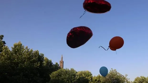 Kanseri yenen Ali Asaf için Diyarbakır'da da balon uçurdular