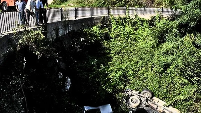 Kontrolden çıkan kamyonet dereye uçtu