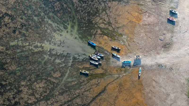 Türkiye Çöl Oluyor Mu? 2030'a Kadar Bizi Ne Bekliyor!