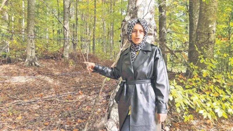 Kütahya'da bahçesini yavru ayı talan etti