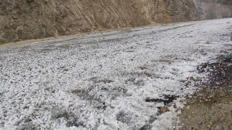 Adana'da Dolu Felaketi! Tarım Arazileri Beyaza Büründü