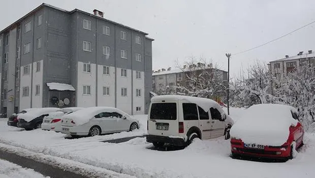 Bitlis'te Kar Esareti! 60 Köy Yolu Ulaşıma Kapandı