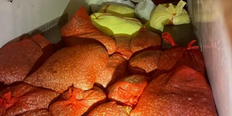 Midye Avına Ceza Şoku! 37 Bin TL Ödeyecek