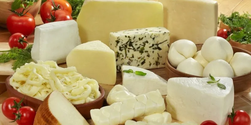 Gıda Devrimi! Bakanlık Bayrampaşa'yı Bastı: Bu Denetim Şok Edecek!