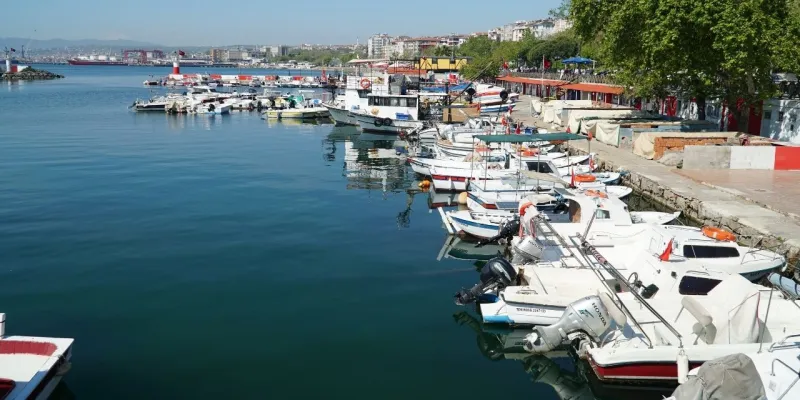 Tekirdağ'da Balık Bereketi! İstavrit Avı Başladı!