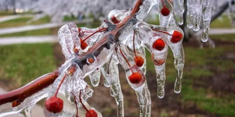 Çiftçiye Müjde! Valilikten Beklenen Destek Açıklaması