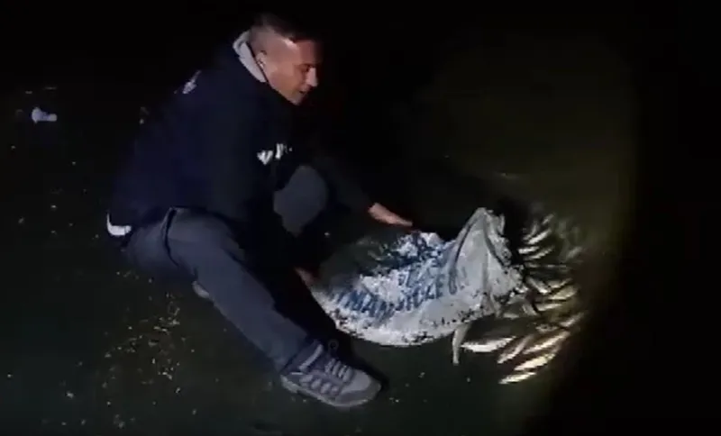 Van'da Kaçak Av Şoku! Balık Katliamına Dur Denildi!