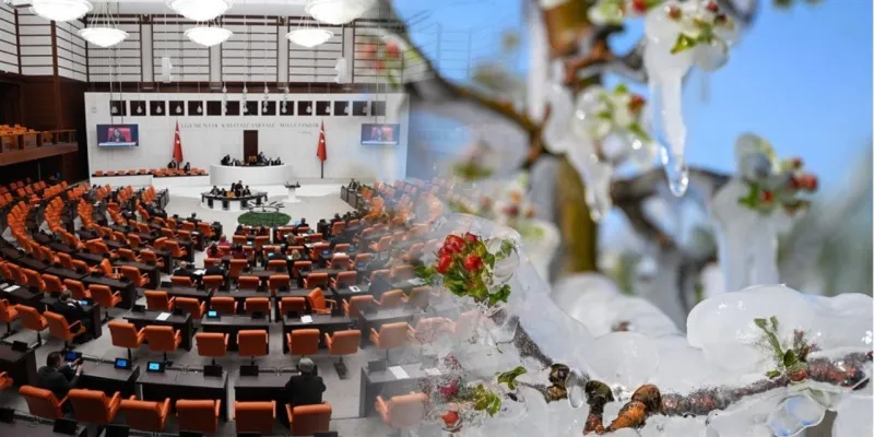 Zirai Don Felaketi! Malatya'da Üretim Bitti Mi?