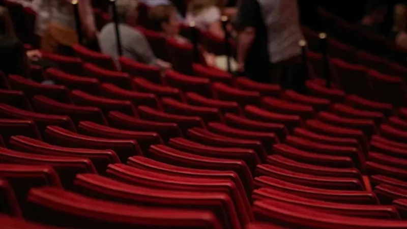 TÜİK, 2024 yılına ilişkin "Sinema ve Gösteri Sanatları İstatistikleri" bültenini yayımladı